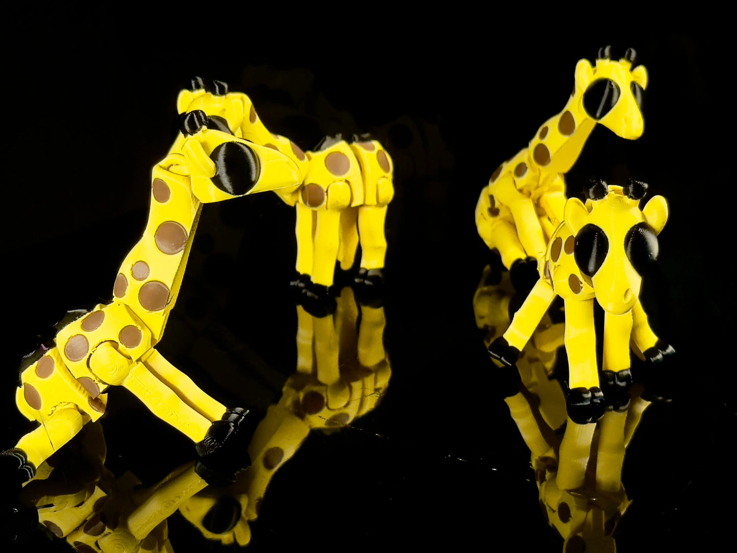 Giraffe da Collezione
