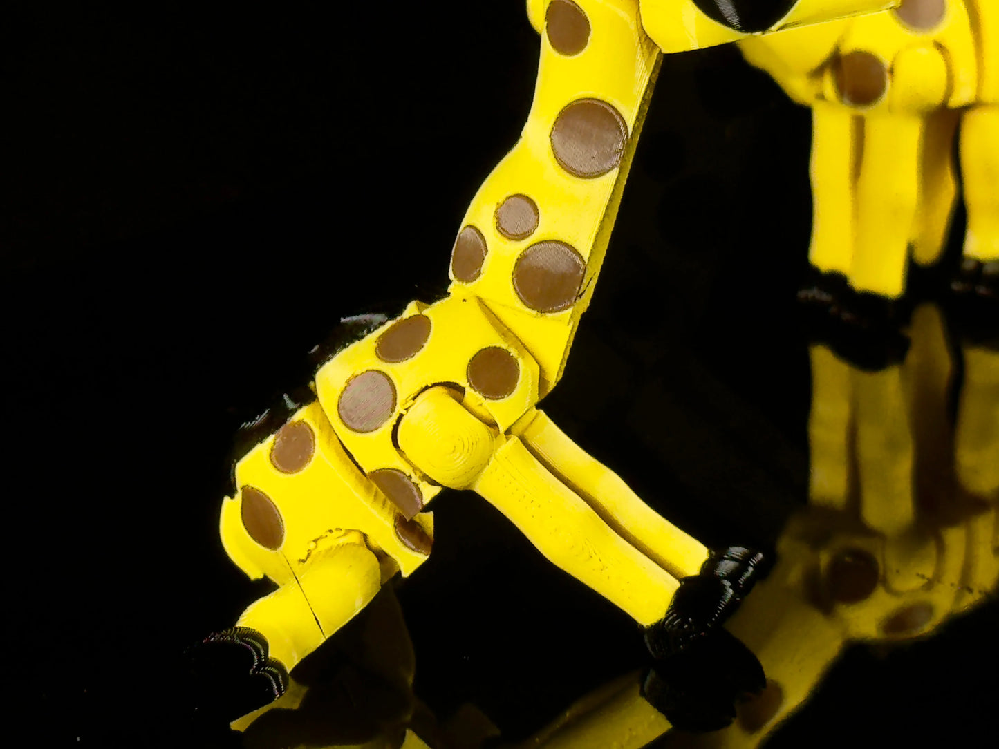 Giraffe da Collezione