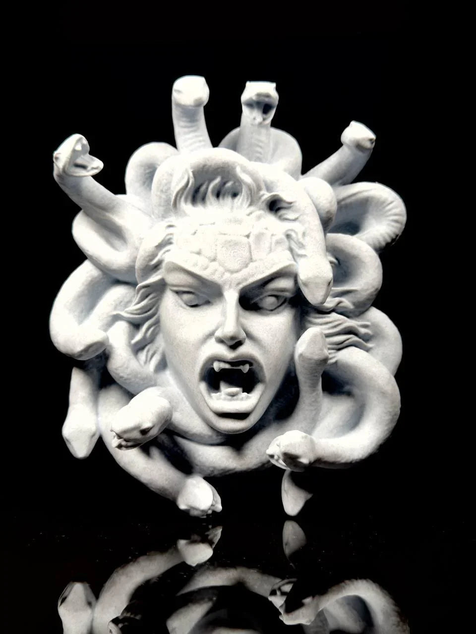 Medusa's Gaze: Pietra Marmorea