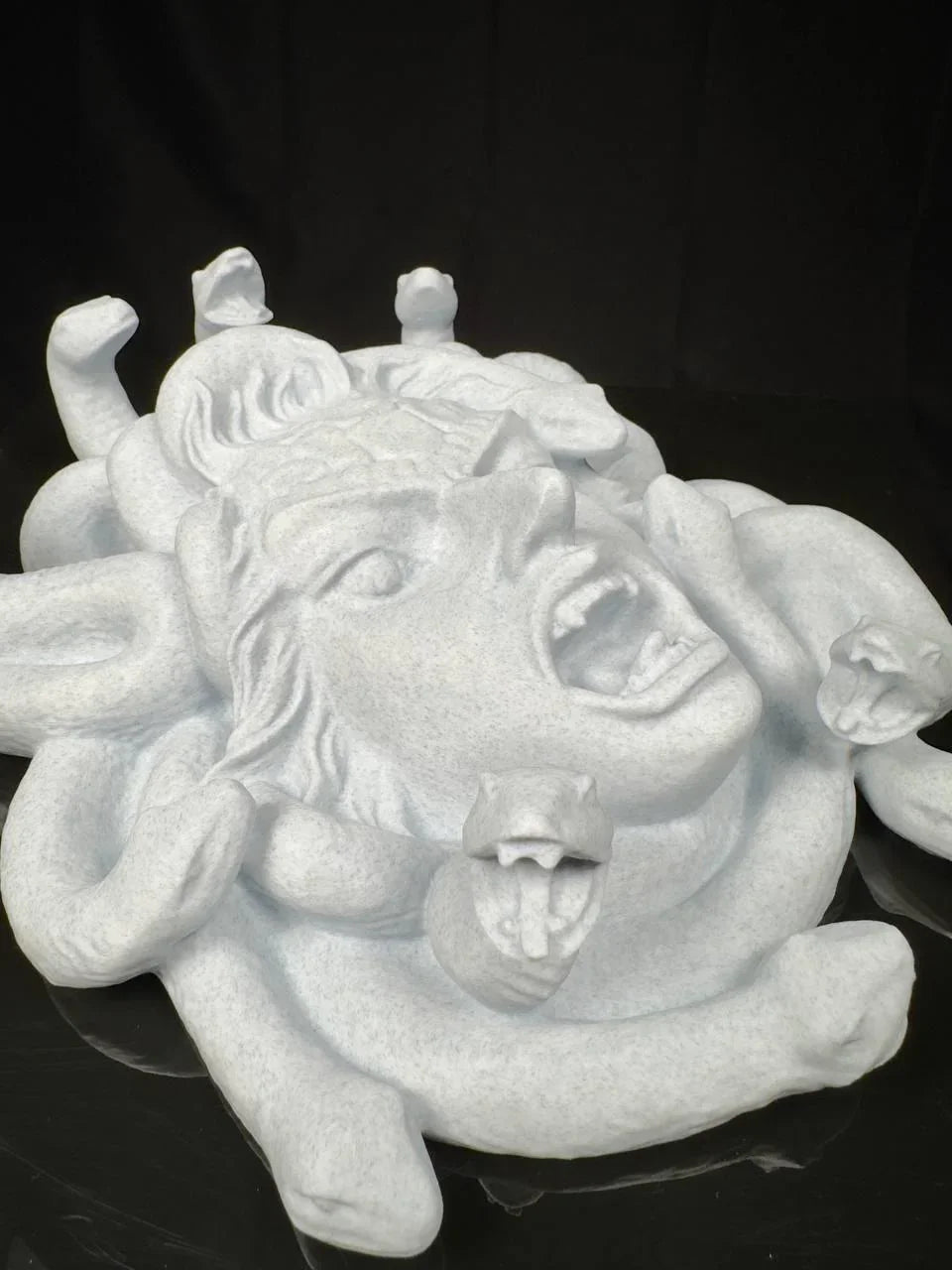 Medusa's Gaze: Pietra Marmorea