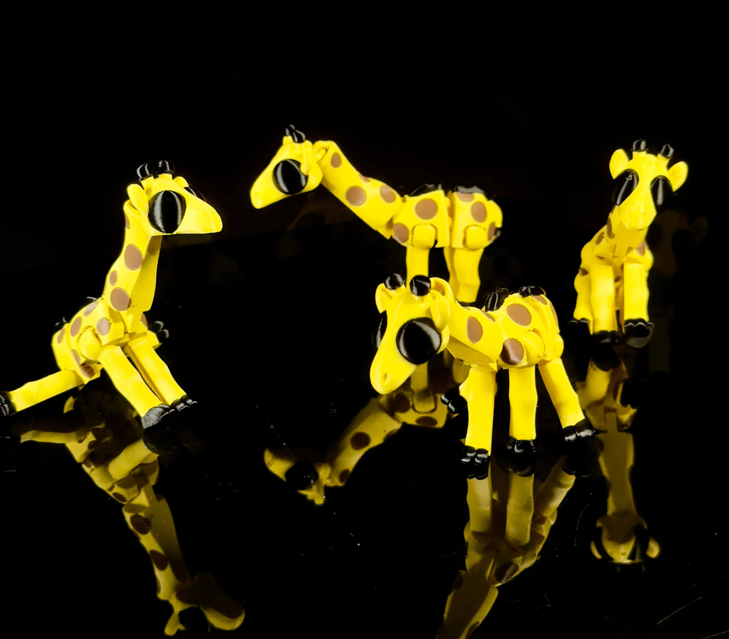 Animali da Collezione 3D