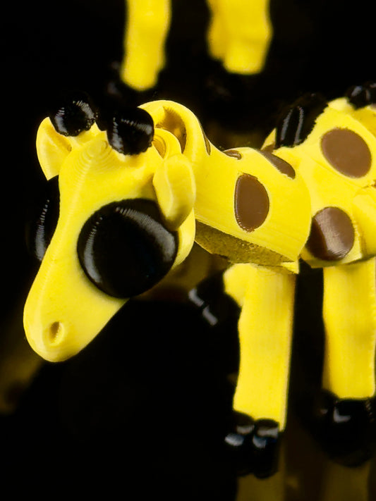 Giraffe da Collezione