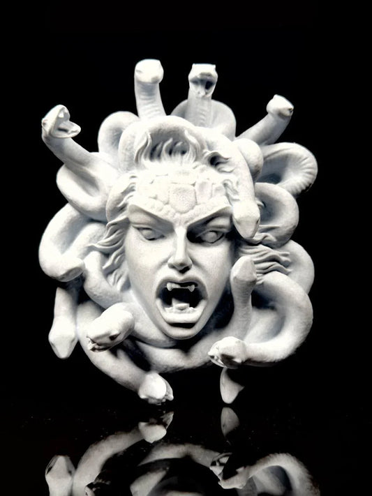 Medusa's Gaze: Pietra Marmorea