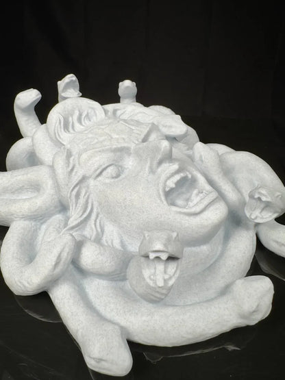 Medusa's Gaze: Pietra Marmorea